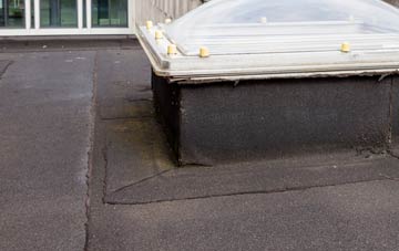 disadvantages of Litlington flat roofs