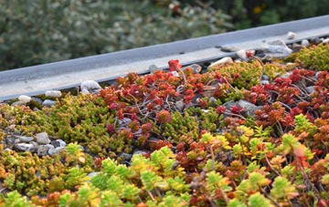 the cost of Litlington green roof installation