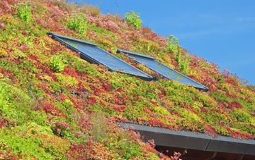 Litlington living roof systems